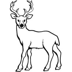 鹿 (動物)ぬりえ #2581 印刷して色を塗る