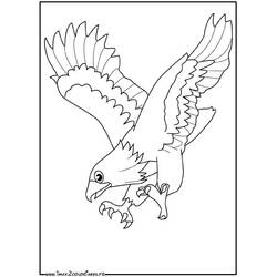 ワシ (動物)ぬりえ #290 印刷して色を塗る