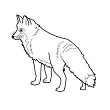 キツネ (動物)ぬりえ #14967 印刷して色を塗る