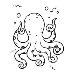 タコ (動物)ぬりえ #19050 印刷して色を塗る
