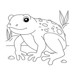 ヒキガエル (動物)ぬりえ #218475 印刷して色を塗る