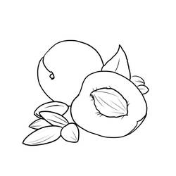 Dessins à colorier: Abricot - Coloriages à Imprimer Gratuits