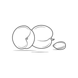 Dessin à colorier: Abricot (Alimentation et Nutrition) #184251 - Coloriages à Imprimer Gratuits