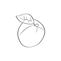 Dessin à colorier: Abricot (Alimentation et Nutrition) #184254 - Coloriages à Imprimer Gratuits