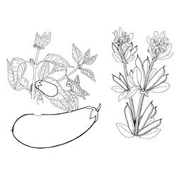 Dessin à colorier: Aubergine (Alimentation et Nutrition) #207491 - Coloriages à Imprimer Gratuits