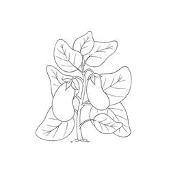 Dessin à colorier: Aubergine (Alimentation et Nutrition) #207493 - Coloriages à Imprimer Gratuits