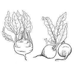 Dessins à colorier: Betterave - Coloriages à Imprimer Gratuits