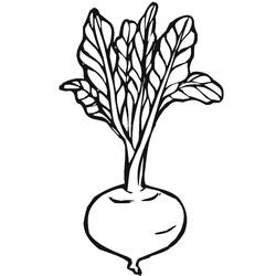 Dessin à colorier: Betterave (Alimentation et Nutrition) #213788 - Coloriages à Imprimer Gratuits