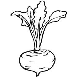 Dessin à colorier: Betterave (Alimentation et Nutrition) #213789 - Coloriages à Imprimer Gratuits