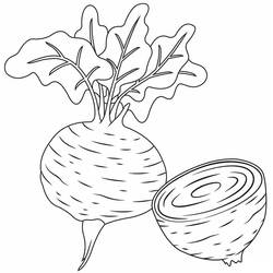 Dessin à colorier: Betterave (Alimentation et Nutrition) #213792 - Coloriages à Imprimer Gratuits