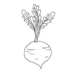Dessin à colorier: Betterave (Alimentation et Nutrition) #213797 - Coloriages à Imprimer Gratuits