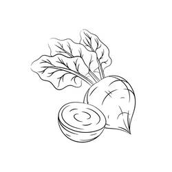 Dessin à colorier: Betterave (Alimentation et Nutrition) #213800 - Coloriages à Imprimer Gratuits