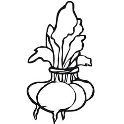Dessin à colorier: Betterave (Alimentation et Nutrition) #213802 - Coloriages à Imprimer Gratuits