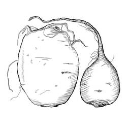 Dessin à colorier: Betterave (Alimentation et Nutrition) #213803 - Coloriages à Imprimer Gratuits