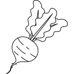 Dessin à colorier: Betterave (Alimentation et Nutrition) #213805 - Coloriages à Imprimer Gratuits