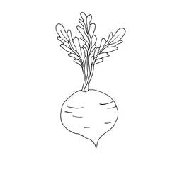 Dessin à colorier: Betterave (Alimentation et Nutrition) #213807 - Coloriages à Imprimer Gratuits