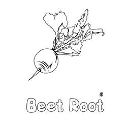 Dessin à colorier: Betterave (Alimentation et Nutrition) #213809 - Coloriages à Imprimer Gratuits