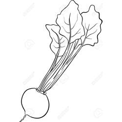 Dessin à colorier: Betterave (Alimentation et Nutrition) #213810 - Coloriages à Imprimer Gratuits