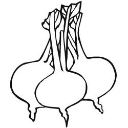 Dessin à colorier: Betterave (Alimentation et Nutrition) #213811 - Coloriages à Imprimer Gratuits