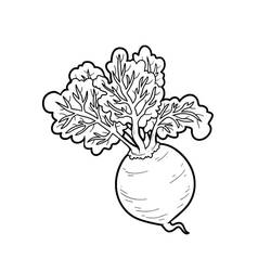 Dessin à colorier: Betterave (Alimentation et Nutrition) #213812 - Coloriages à Imprimer Gratuits