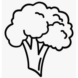 Dessin à colorier: Brocoli (Alimentation et Nutrition) #203711 - Coloriages à Imprimer Gratuits