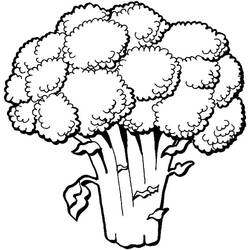 Dessin à colorier: Brocoli (Alimentation et Nutrition) #203729 - Coloriages à Imprimer Gratuits