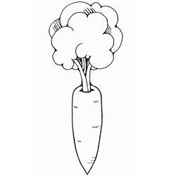 Dessin à colorier: Carotte (Alimentation et Nutrition) #197511 - Coloriages à Imprimer Gratuits