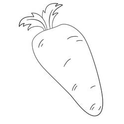 Dessin à colorier: Carotte (Alimentation et Nutrition) #197522 - Coloriages à Imprimer Gratuits
