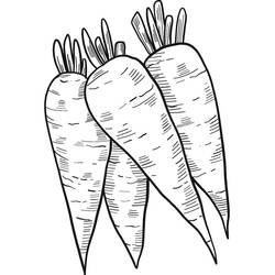 Dessin à colorier: Carotte (Alimentation et Nutrition) #197526 - Coloriages à Imprimer Gratuits