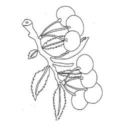 Dessins à colorier: Cerise - Coloriages à Imprimer Gratuits