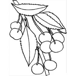 Dessin à colorier: Cerise (Alimentation et Nutrition) #190075 - Coloriages à Imprimer Gratuits
