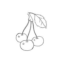 Dessin à colorier: Cerise (Alimentation et Nutrition) #190078 - Coloriages à Imprimer Gratuits