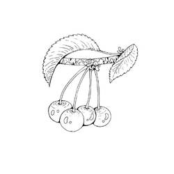 Dessin à colorier: Cerise (Alimentation et Nutrition) #190079 - Coloriages à Imprimer Gratuits