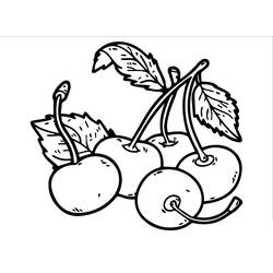 Dessin à colorier: Cerise (Alimentation et Nutrition) #190092 - Coloriages à Imprimer Gratuits