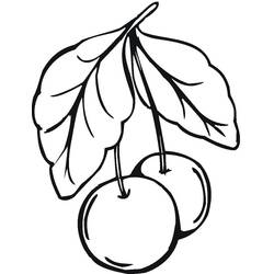 Dessin à colorier: Cerise (Alimentation et Nutrition) #190098 - Coloriages à Imprimer Gratuits