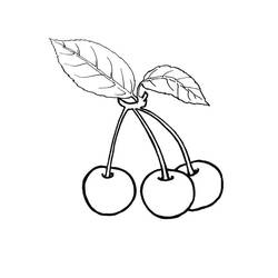 Dessin à colorier: Cerise (Alimentation et Nutrition) #190110 - Coloriages à Imprimer Gratuits