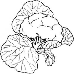 Dessin à colorier: Chou fleur (Alimentation et Nutrition) #207503 - Coloriages à Imprimer Gratuits