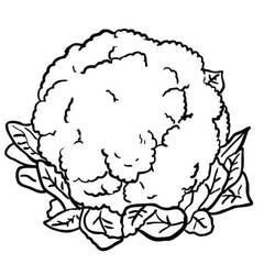 Dessin à colorier: Chou fleur (Alimentation et Nutrition) #207504 - Coloriages à Imprimer Gratuits
