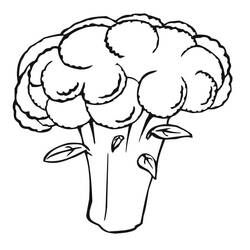Dessin à colorier: Chou fleur (Alimentation et Nutrition) #207506 - Coloriages à Imprimer Gratuits