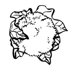 Dessin à colorier: Chou fleur (Alimentation et Nutrition) #207508 - Coloriages à Imprimer Gratuits