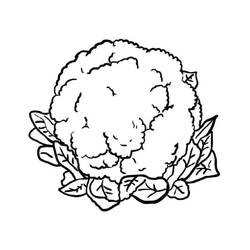 Dessin à colorier: Chou fleur (Alimentation et Nutrition) #207509 - Coloriages à Imprimer Gratuits