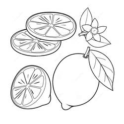 Dessin à colorier: Citron (Alimentation et Nutrition) #185012 - Coloriages à Imprimer Gratuits