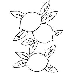 Dessin à colorier: Citron (Alimentation et Nutrition) #185016 - Coloriages à Imprimer Gratuits