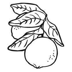 Dessin à colorier: Citron (Alimentation et Nutrition) #185017 - Coloriages à Imprimer Gratuits