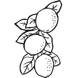 Dessin à colorier: Citron (Alimentation et Nutrition) #185020 - Coloriages à Imprimer Gratuits