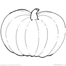 Dessin à colorier: Citrouille (Alimentation et Nutrition) #166939 - Coloriages à Imprimer Gratuits