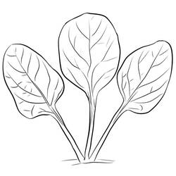 Dessin à colorier: Épinard (Alimentation et Nutrition) #187660 - Coloriages à Imprimer Gratuits