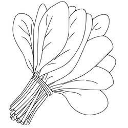 Dessin à colorier: Épinard (Alimentation et Nutrition) #187665 - Coloriages à Imprimer Gratuits