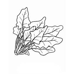 Dessin à colorier: Épinard (Alimentation et Nutrition) #187669 - Coloriages à Imprimer Gratuits