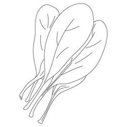 Dessin à colorier: Épinard (Alimentation et Nutrition) #187670 - Coloriages à Imprimer Gratuits